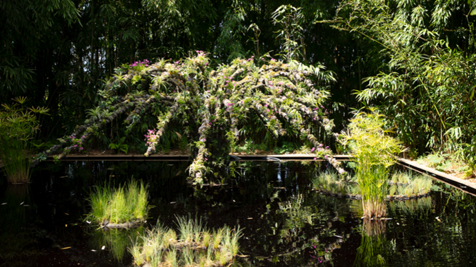 4-Le jardin de la fontaine ane´mone (France) - © E. Sander